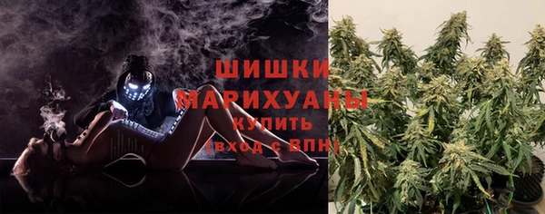 гашик Дмитриев