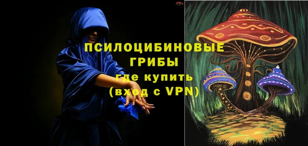 ALPHA-PVP Няндома
