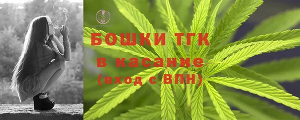 гидра Дмитров