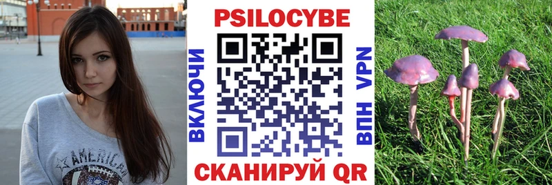 Галлюциногенные грибы MAGIC MUSHROOMS Славск