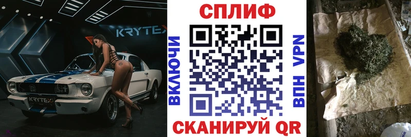 Канабис сатива  купить   Славск 
